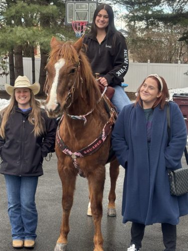 The Healing Power of Equine Therapy at SunRise